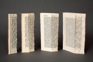 6a00d8341c562c53ef01bb07d43410970d